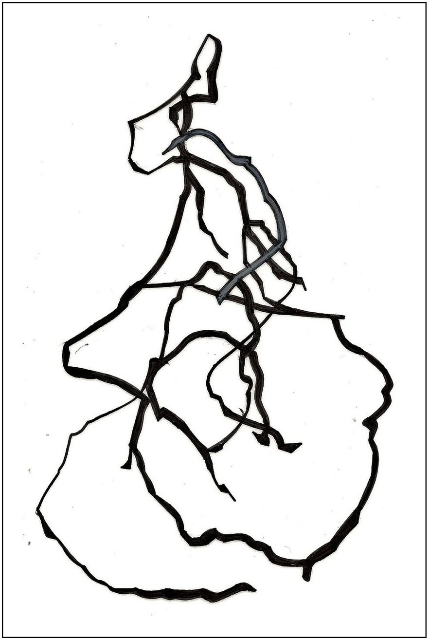 Argo No. 18 (trace), polymer pencil on tracing film,  21 x 13 cm, 2009 - 2012 