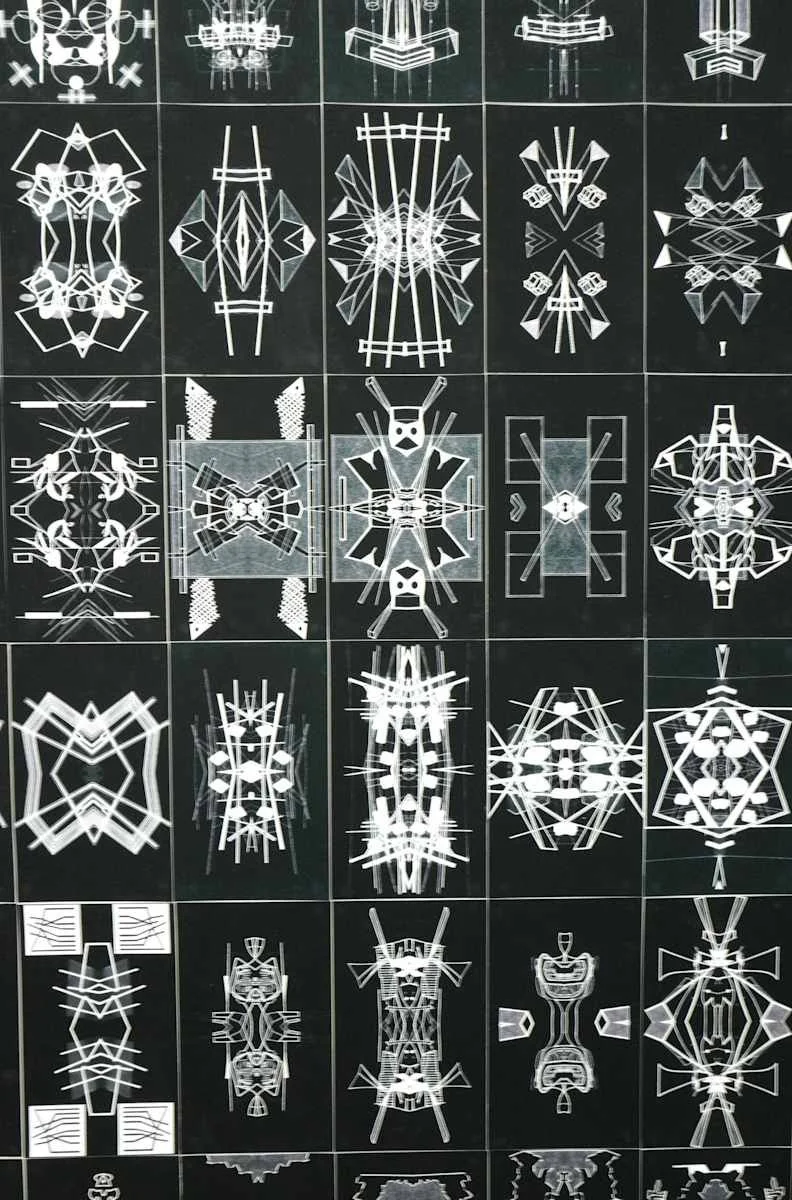 Field Notes – The Dark Symmetries, inkjet prints on paper, 196 x 142 cm