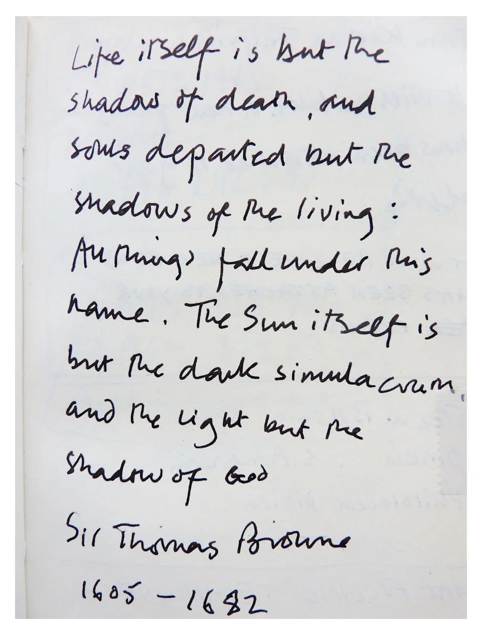 Bull and Snowflake 11.jpg