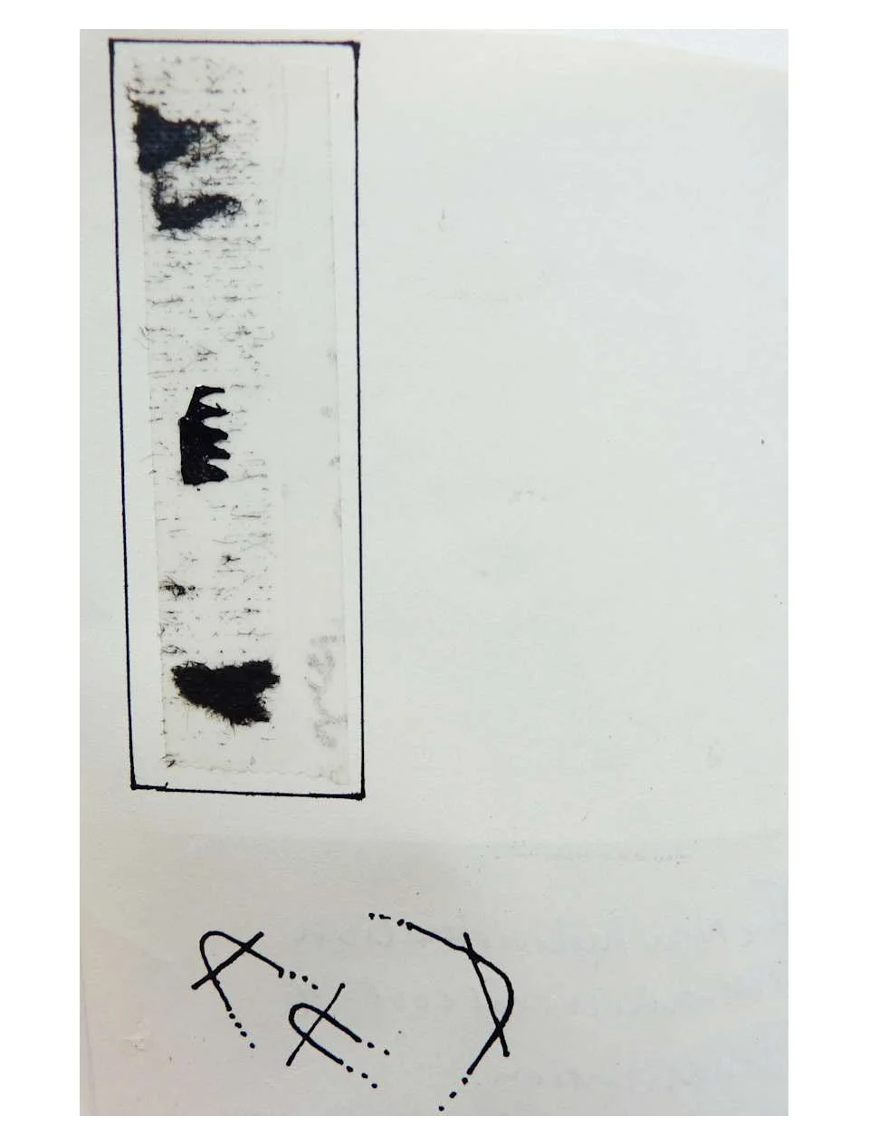 Bull and Snowflake 15.jpg