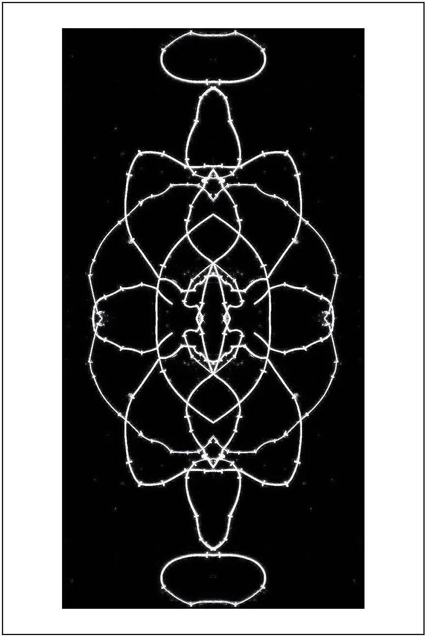 Argo No. 39 (symmetry B), inkjet print,  21 x 13 cm, 2009 - 2012