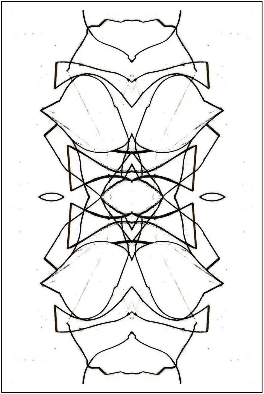 Argo No. 21 (symmetry A), inkjet print,  21 x 13 cm, 2009 - 2012
