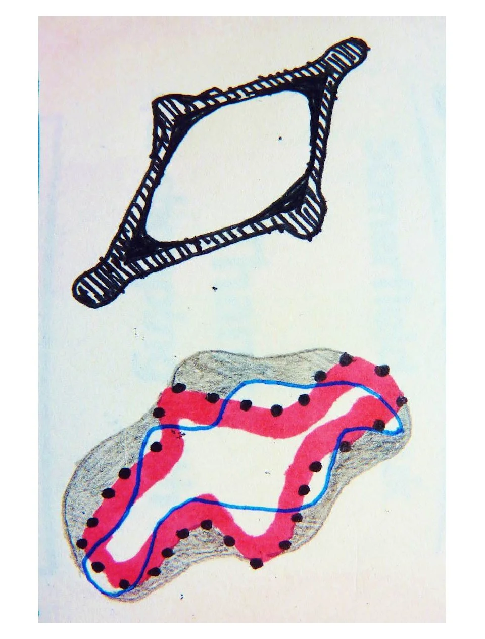 Bull and Snowflake 19.jpg