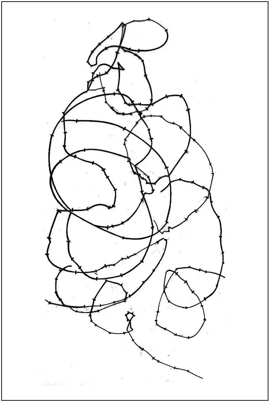 Argo No. 39 (trace), polymer pencil on tracing film,  21 x 13 cm, 2009 - 2012 