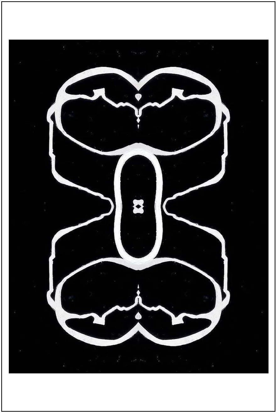 Argo No. 10 (symmetry B), inkjet print,  21 x 13 cm, 2009 - 2012