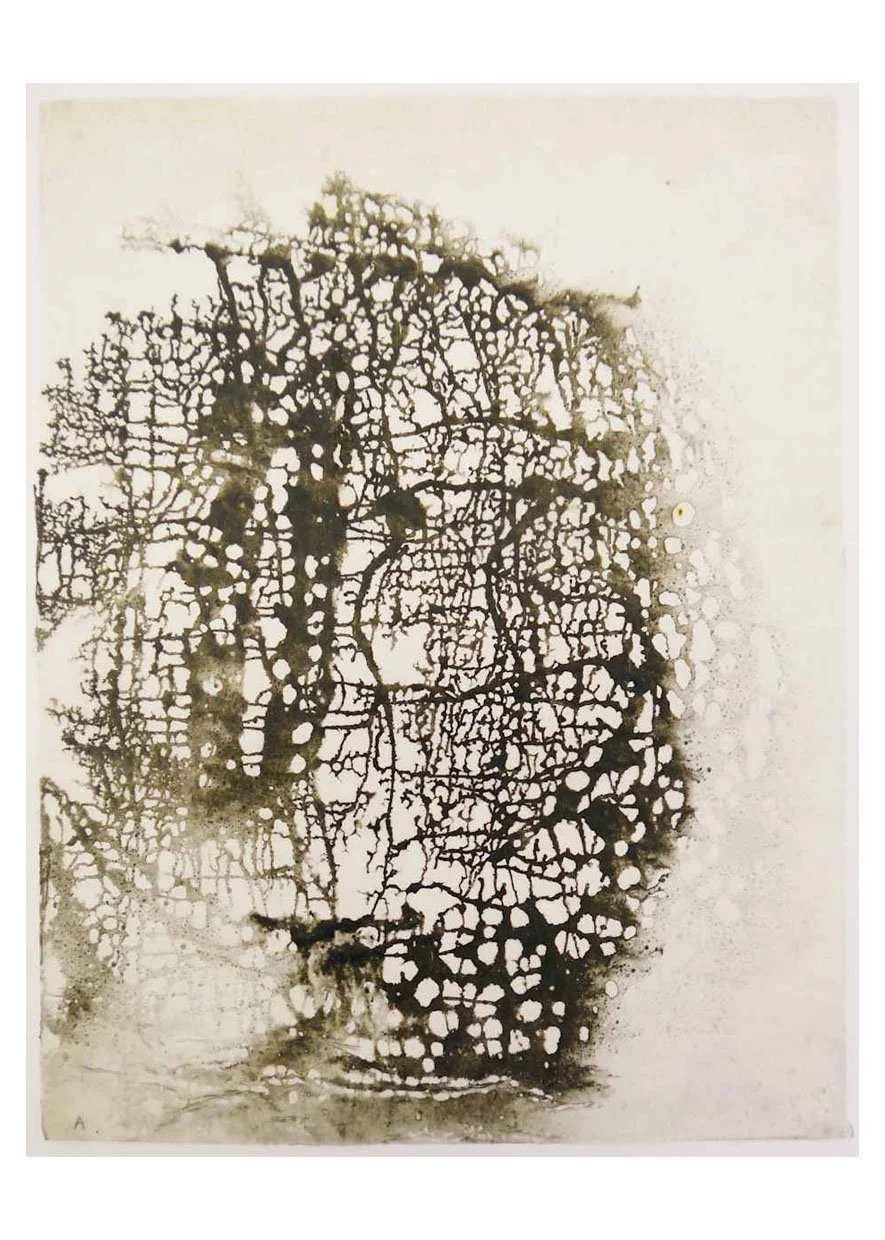 Greek Drawings (Pelion), Ink on Paper, 2011