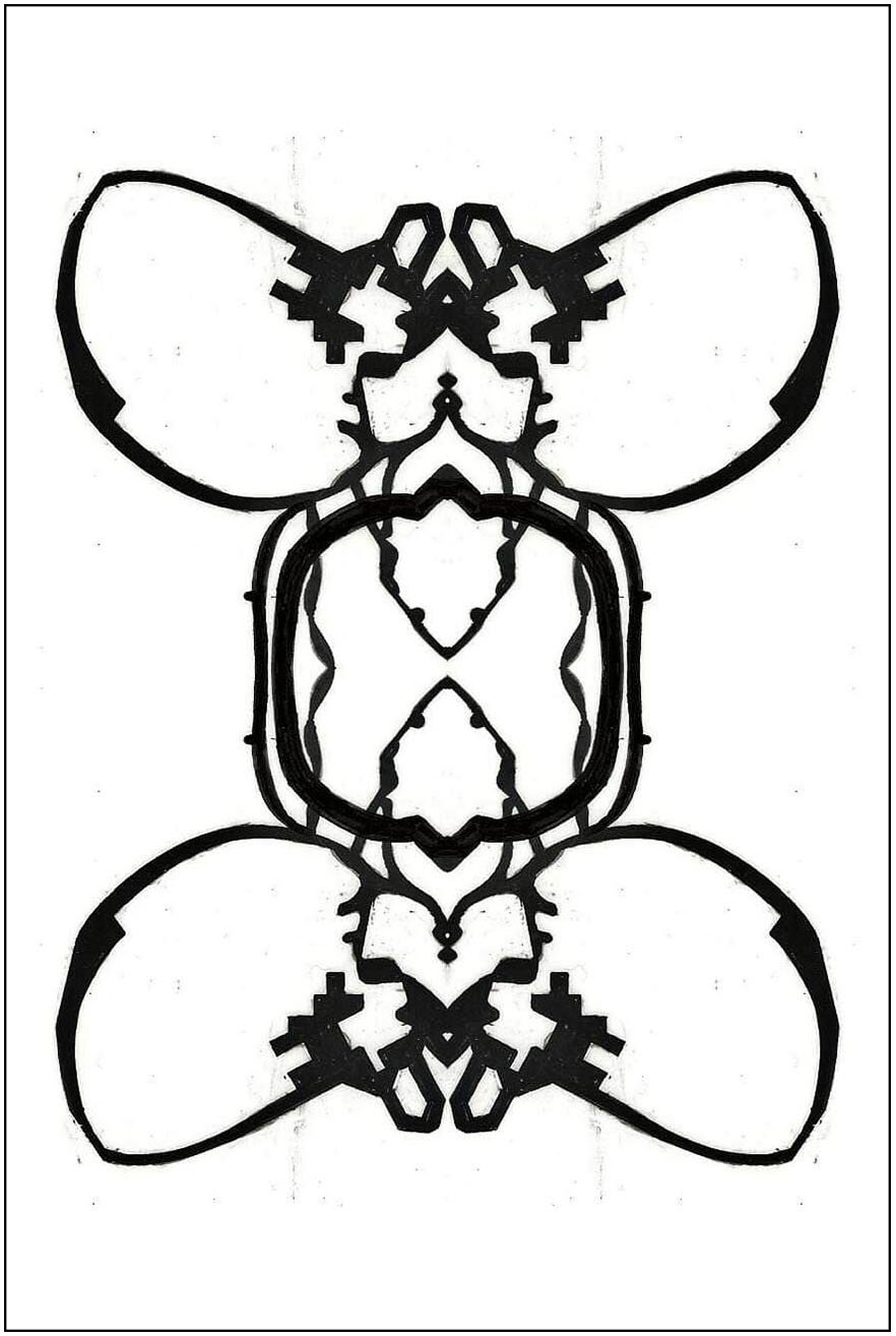 Argo No. 10 (symmetry A), inkjet print,  21 x 13 cm, 2009 - 2012