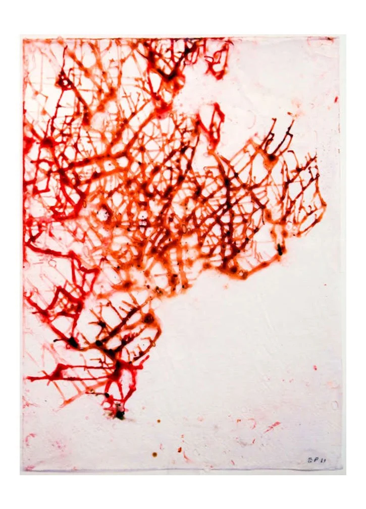 Throw Drawings 5.jpg