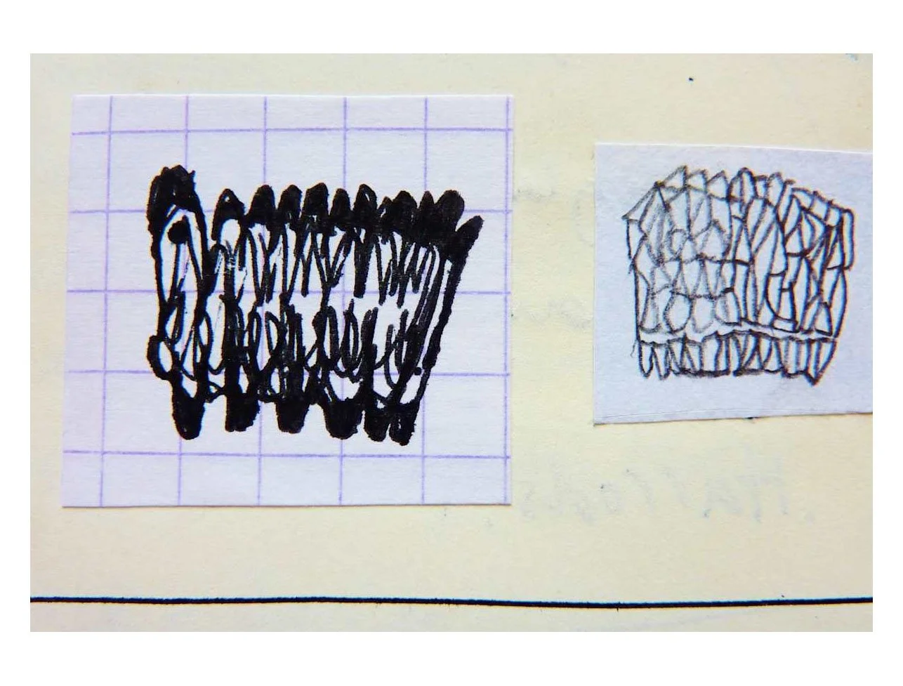 Bull and Snowflake 30.jpg