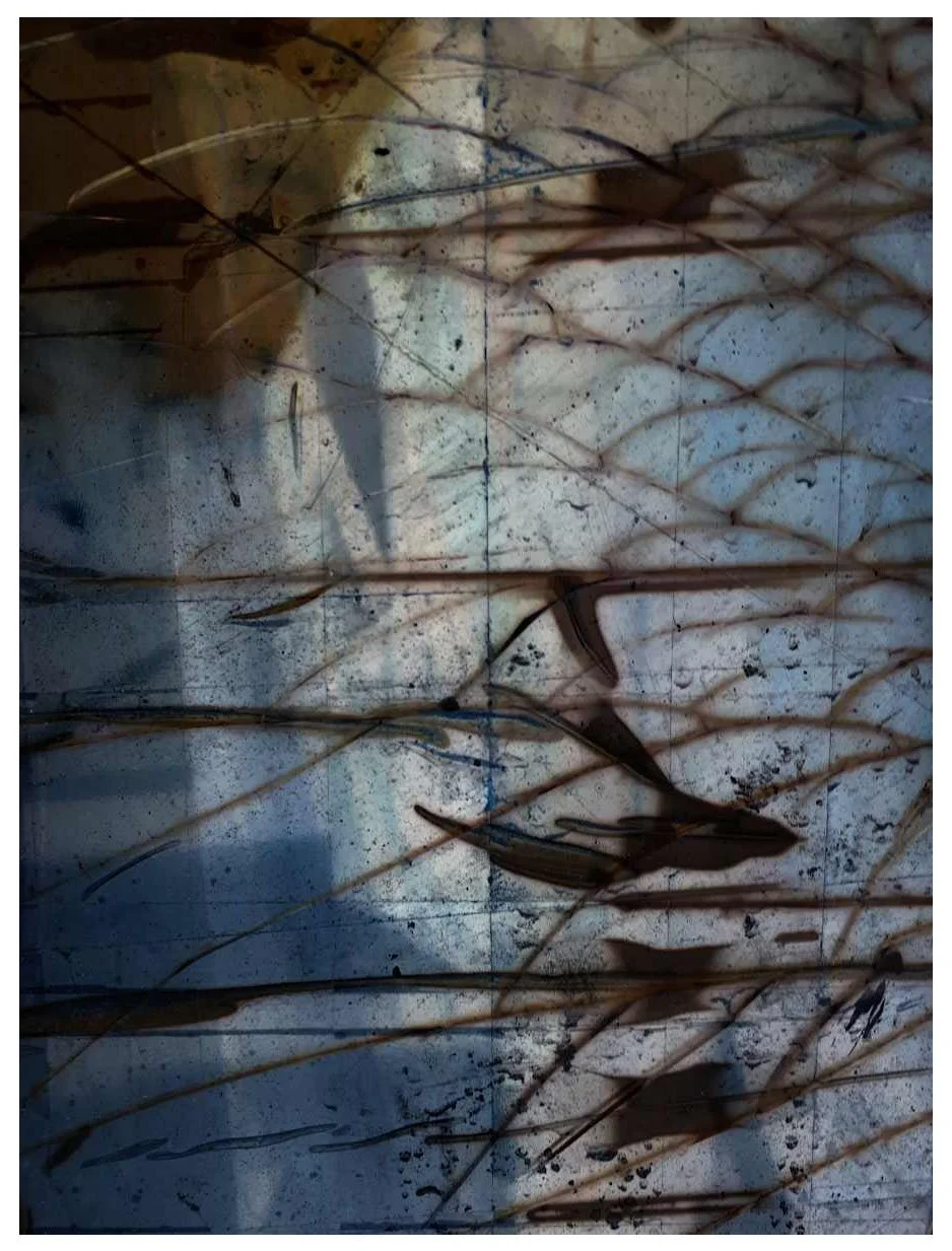 2019 - Artwork_Photography_Shattered Window 24.jpg