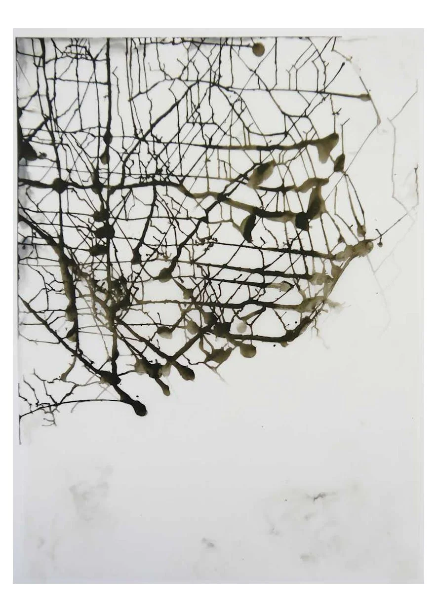 Greek Drawings (Pelion), Ink on Paper, 2011