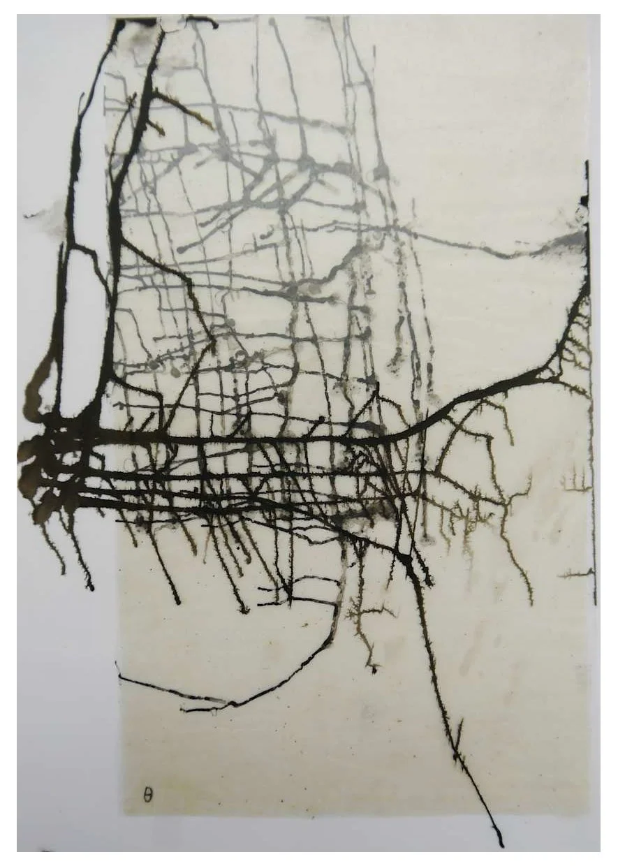 Greek Drawings (Pelion), Ink on Paper, 2011