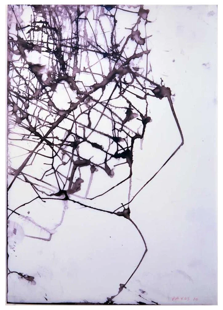 Throw Drawings 2.jpg