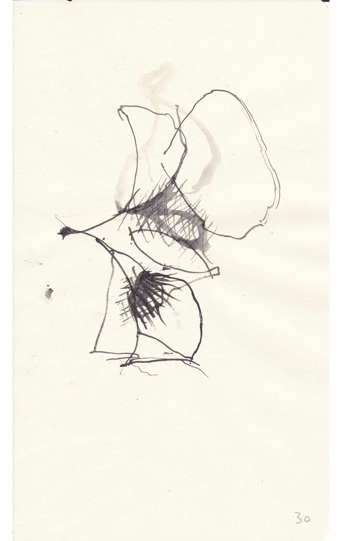 Argo No. 30 (original drawing), ink on paper, 21 x 13 cm, 2009 - 2012