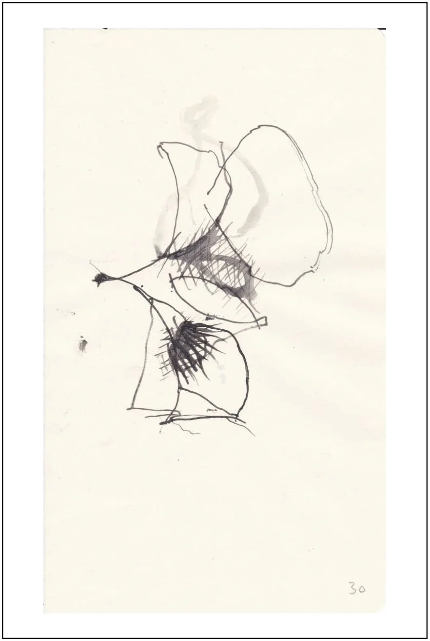 Argo No. 30 (original drawing), ink on paper, 21 x 13 cm, 2009 - 2012 