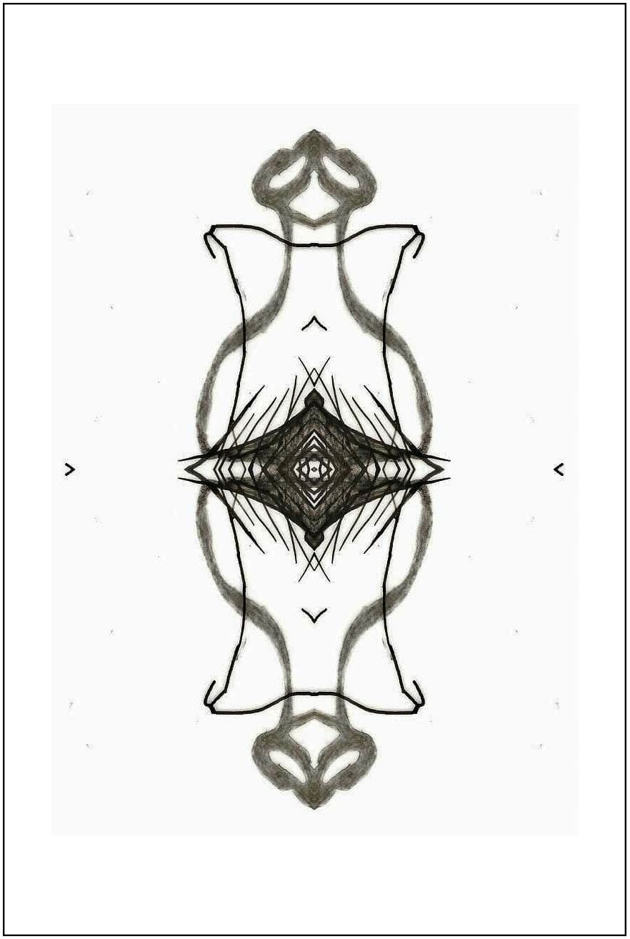 Argo No. 30 (symmetry A), inkjet print,  21 x 13 cm, 2009 - 2012
