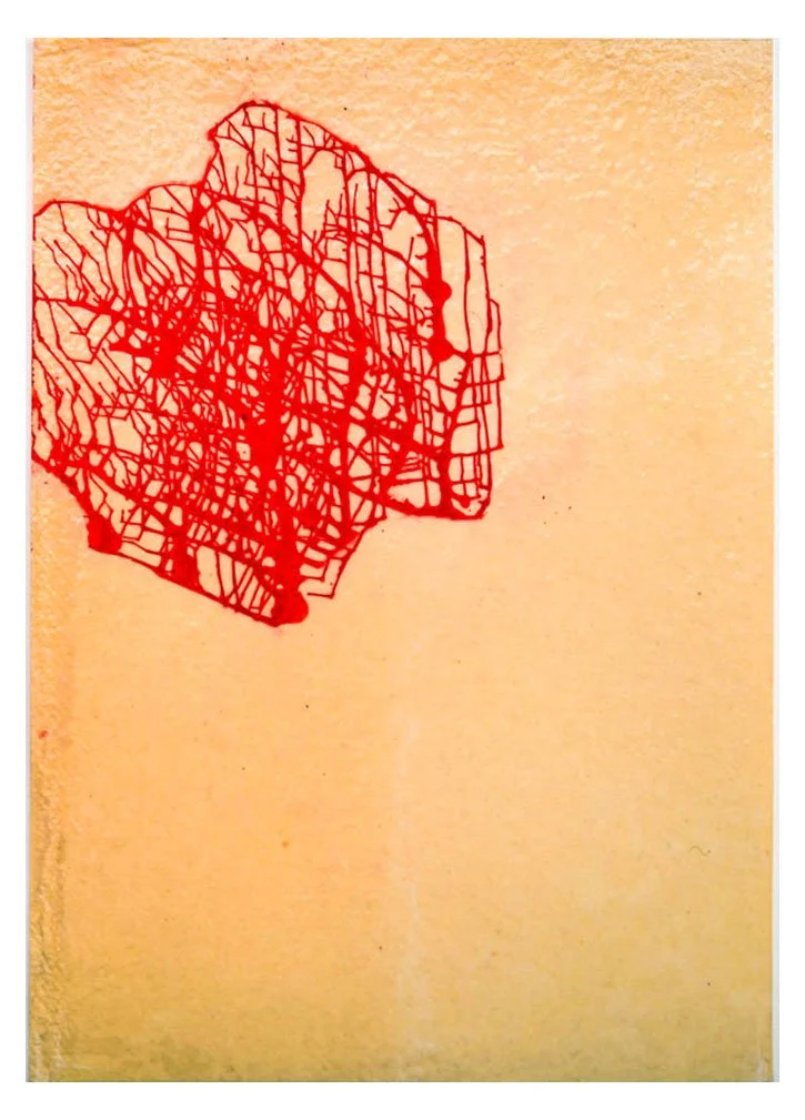 Throw Drawings 9.jpg