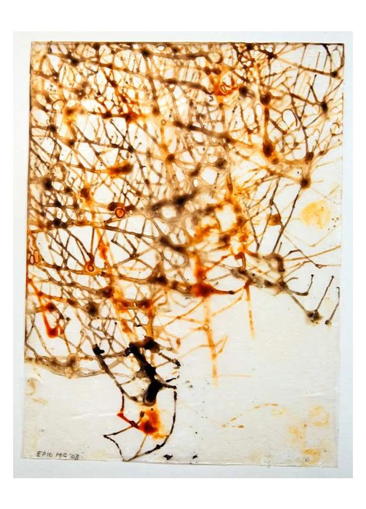 Throw Drawings 6.jpg