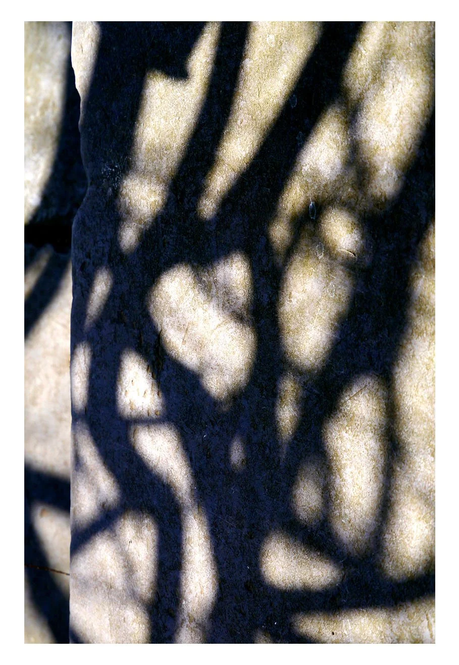 Shadow