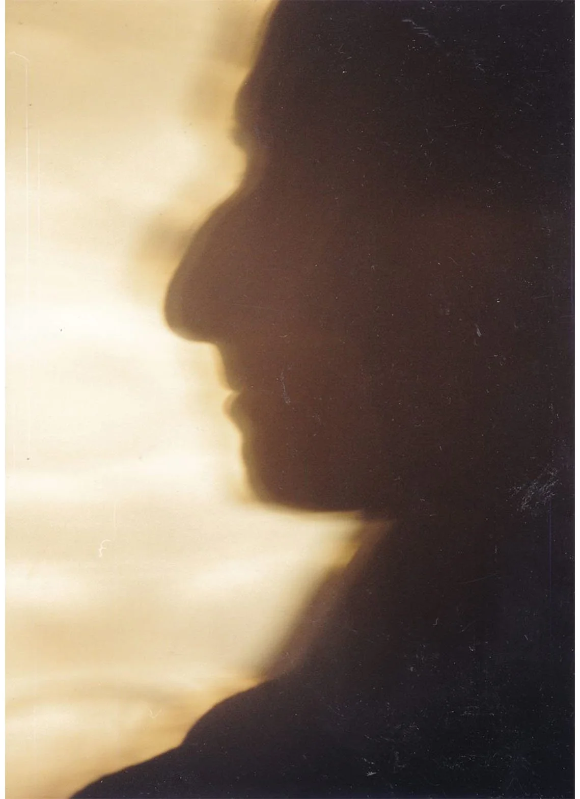 Of Every Description No. 9, Artist's Profile, photograph, 17.6 x 12.5 cm, November 1999