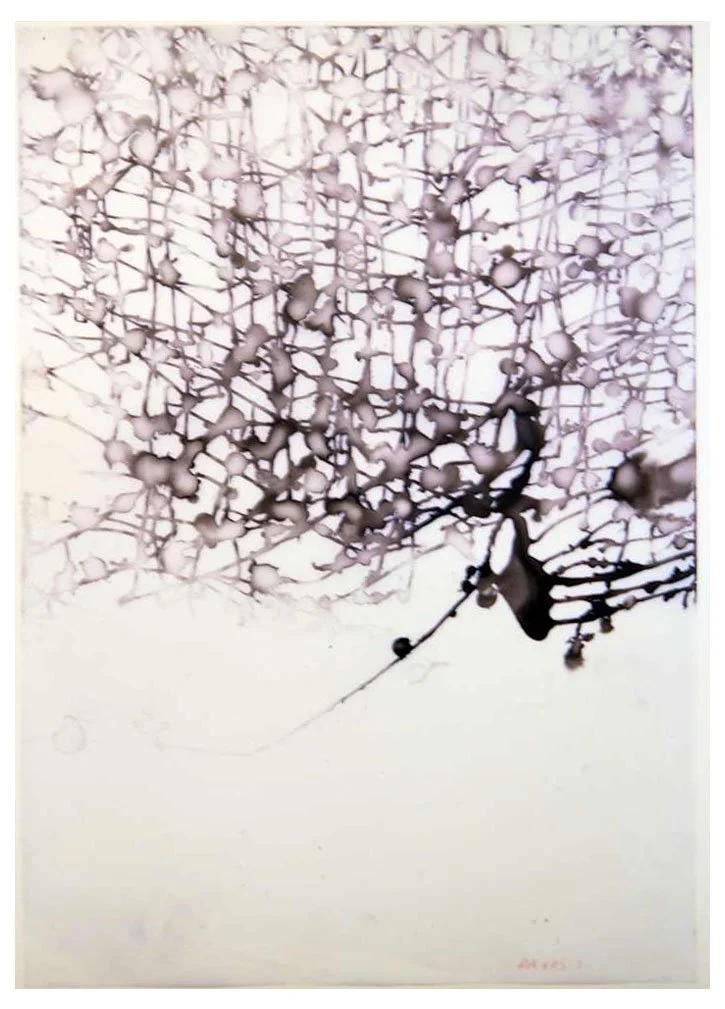 Throw Drawings 14.jpg