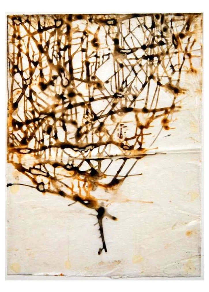 Throw Drawings 15.jpg