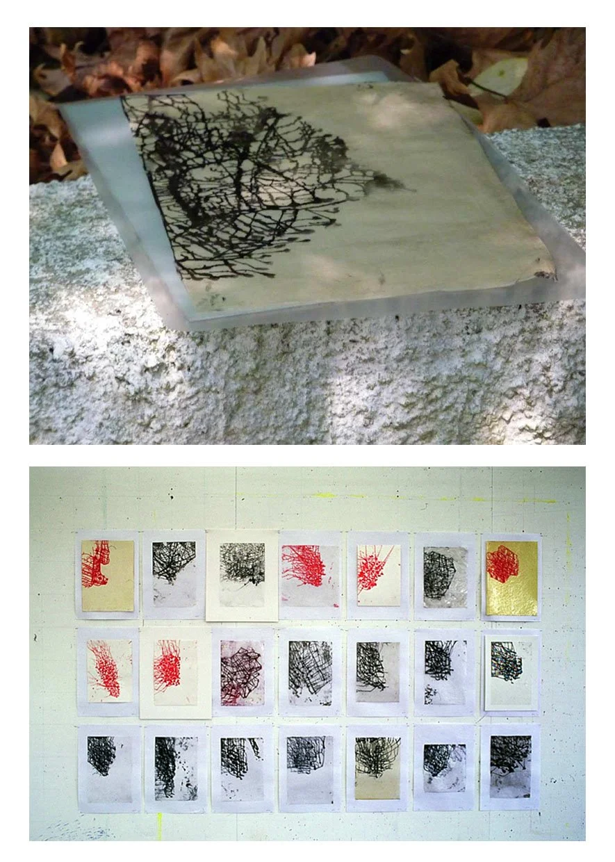 Greek Drawings (Pelion), installation image, Ink on Paper, 2011