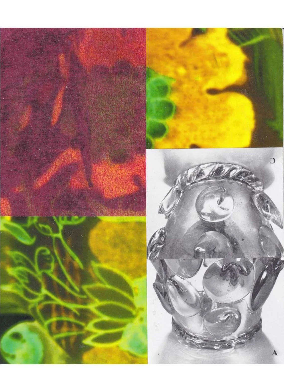 Of Every Description No. 34, Mason's Collage, acrylic, Japanese paper, collage on Xerox print, 15.3 x 12.9 cm, 2023