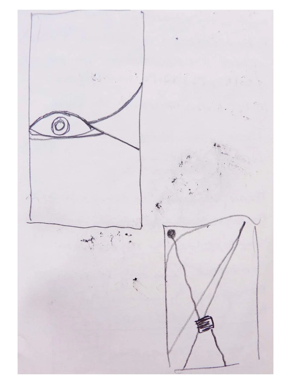 Bull and Snowflake 33.jpg