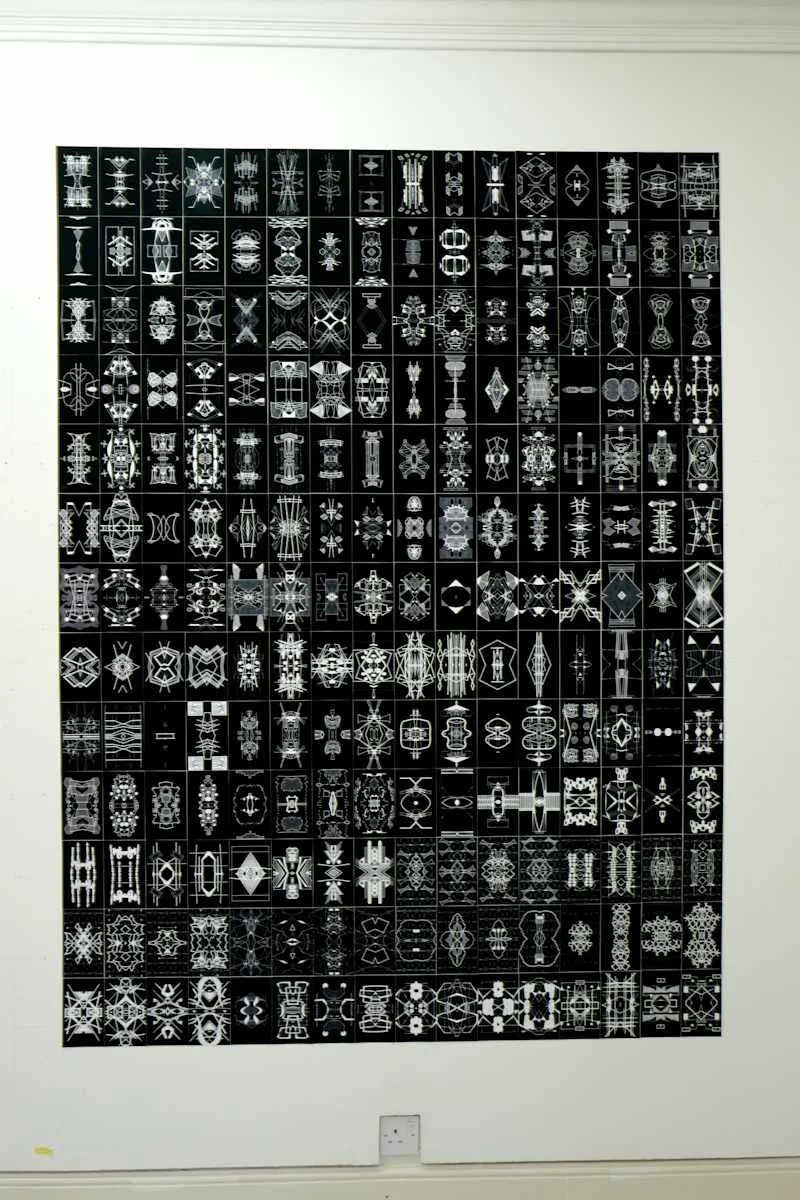 Field Notes – The Dark Symmetries, inkjet prints on paper, 196 x 142 cm