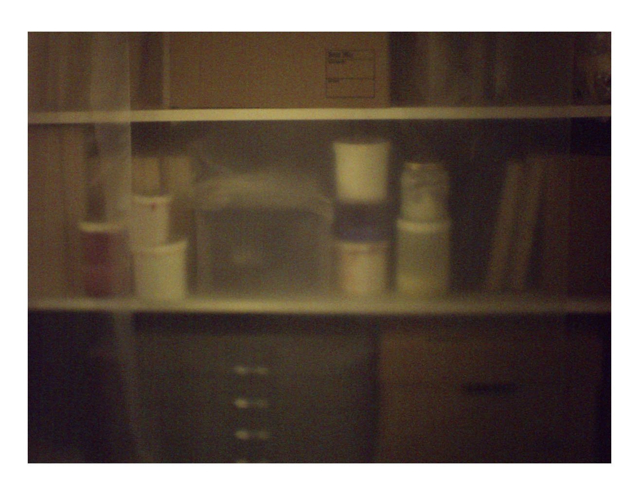 Basement Studio, 2012