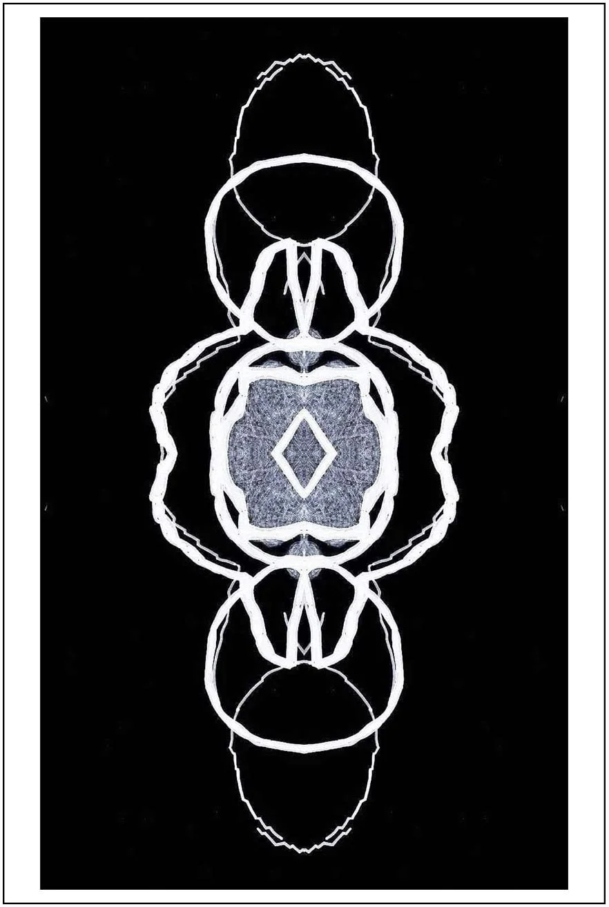 Argo No. 21 (symmetry B), inkjet print,  21 x 13 cm, 2009 - 2012