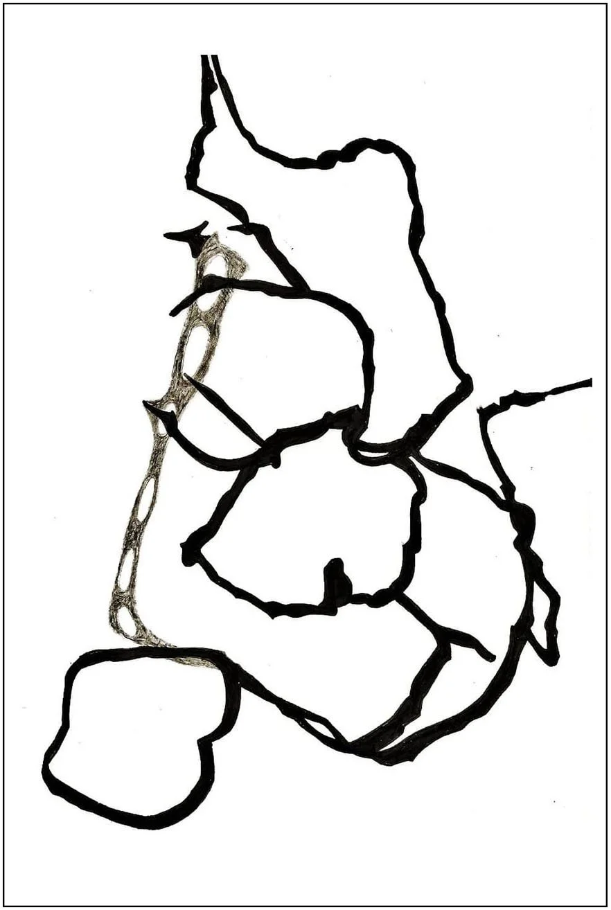 Argo No. 36 (trace), polymer pencil on tracing film,  21 x 13 cm, 2009 - 2012 