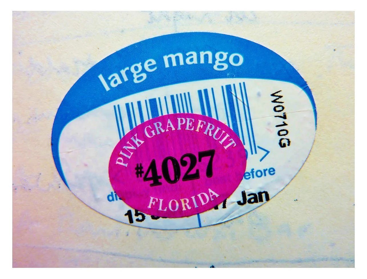 Bull and Snowflake 28.jpg