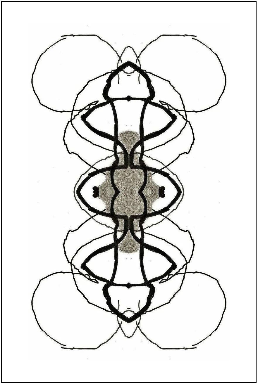 Argo No. 26 (symmetry A), inkjet print,  21 x 13 cm, 2009 - 2012