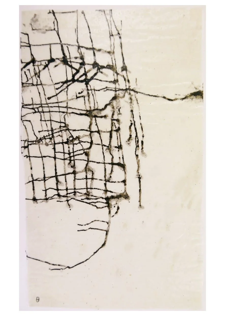 Greek Drawings (Pelion), Ink on Paper, 2011