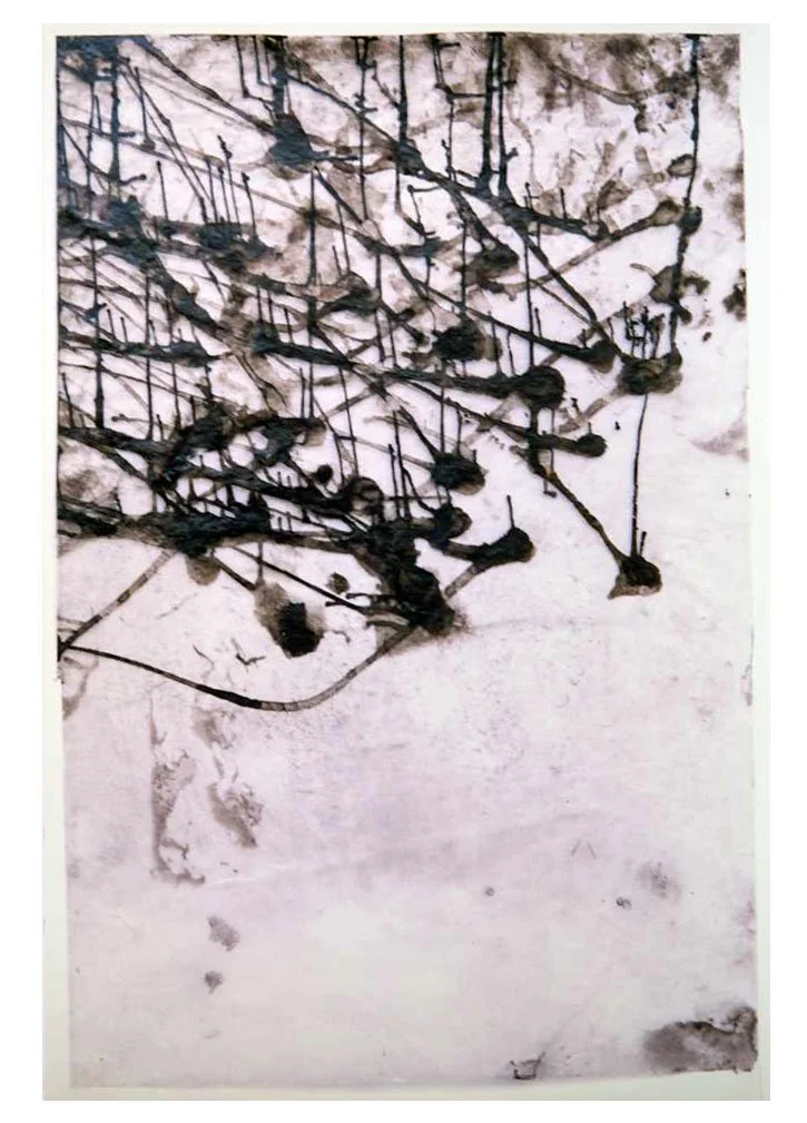 Throw Drawings 7.jpg