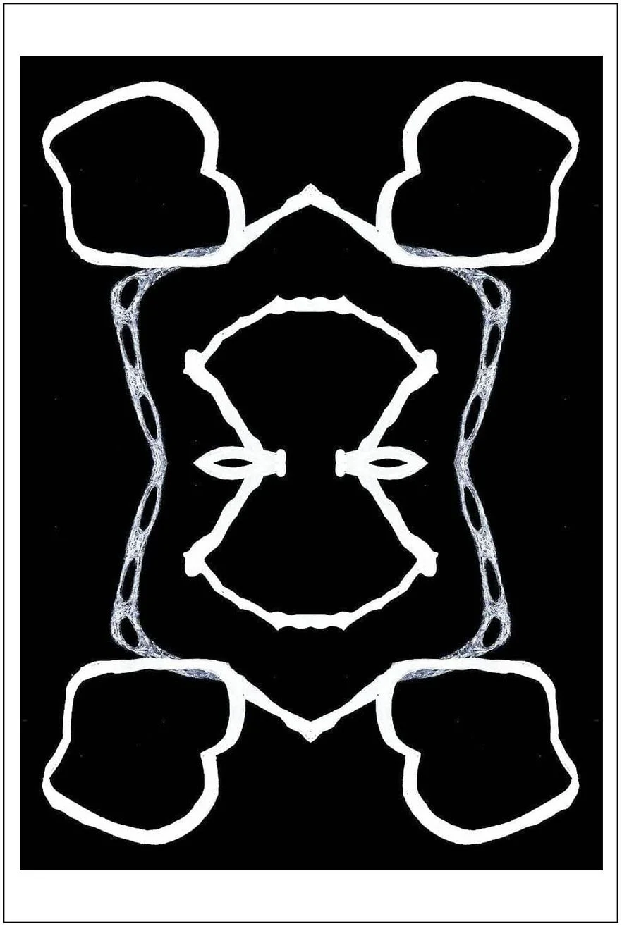 Argo No. 36 (symmetry B), inkjet print,  21 x 13 cm, 2009 - 2012