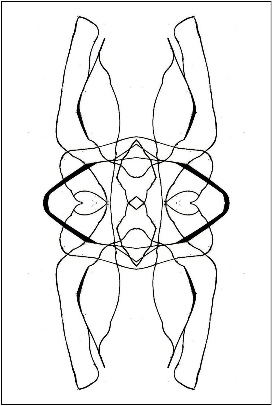 Argo No. 32 (symmetry A), inkjet print,  21 x 13 cm, 2009 - 2012