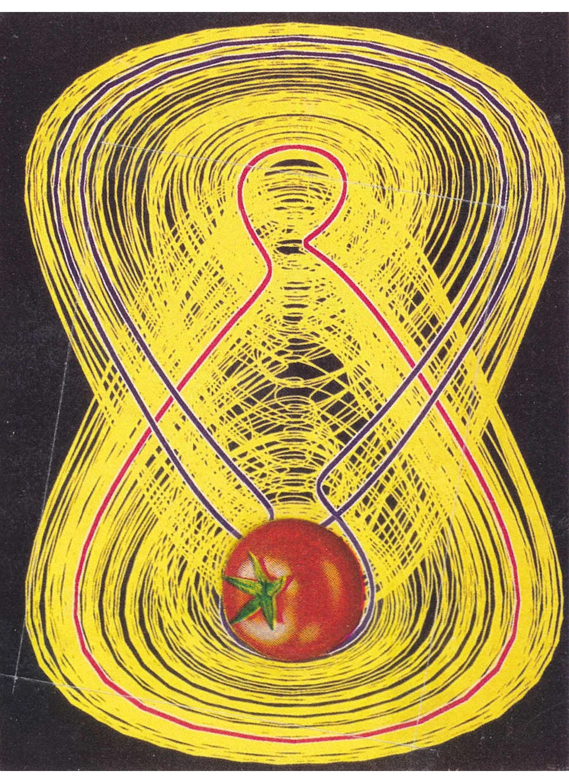 Of Every Description No. 8, Tomato/Chaos, inkjet print, 16 x 21.1 cm