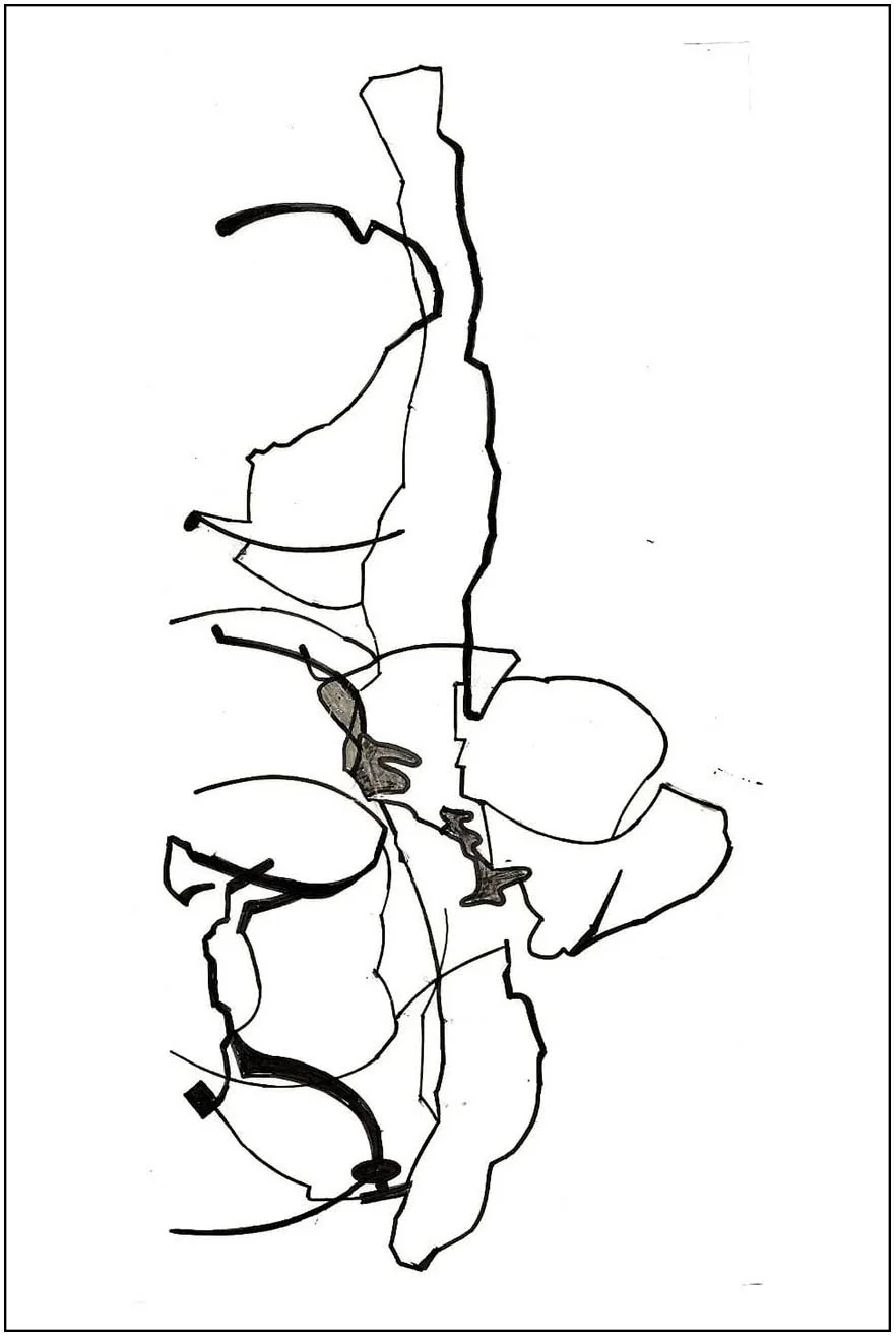 Argo No. 29 (trace), polymer pencil on tracing film,  21 x 13 cm, 2009 - 2012 