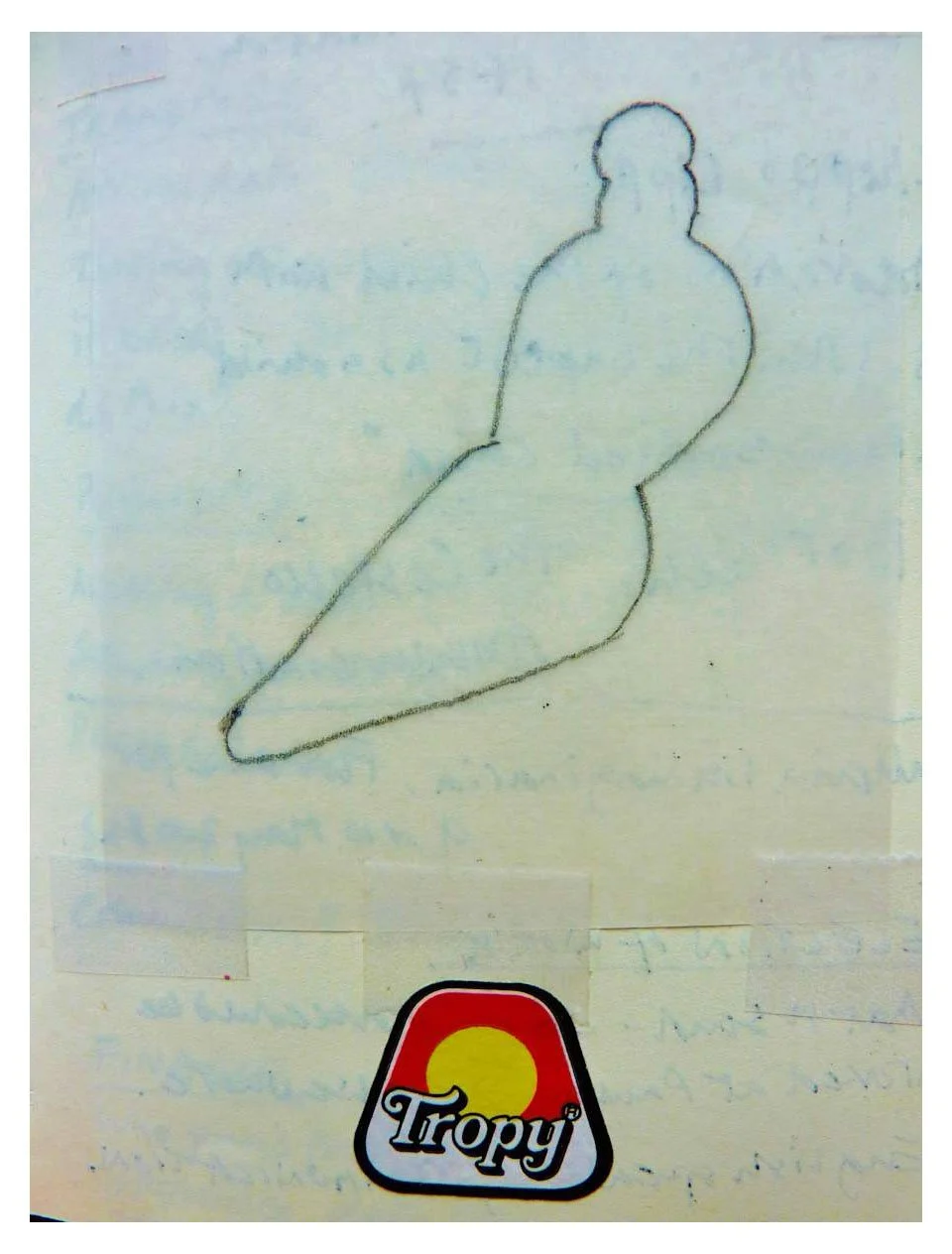 Bull and Snowflake 26.jpg