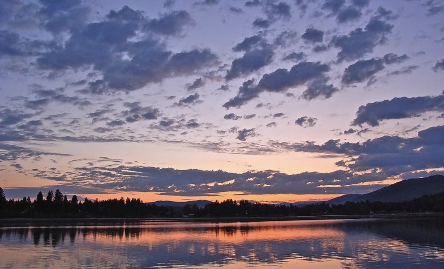 Screenshot 2026-02-12 at 5.06.14 AM.png