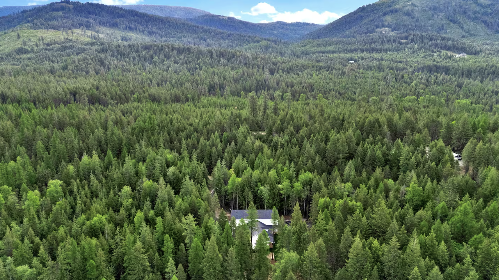 Screenshot 2026-02-12 at 4.56.06 AM.png