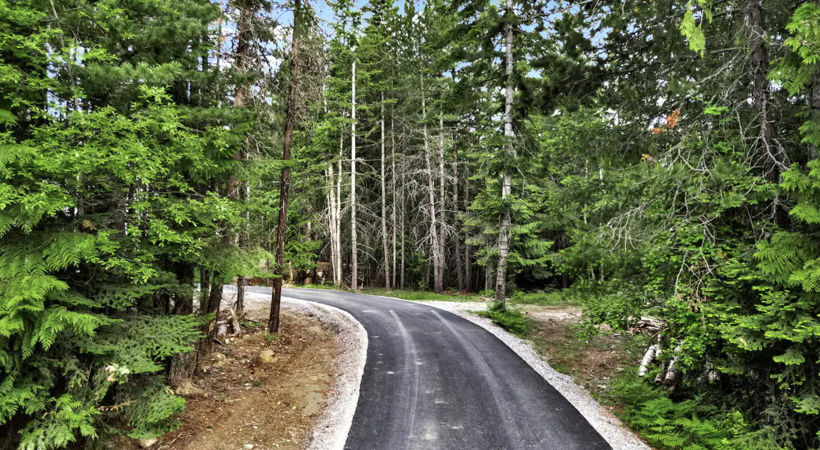 Screenshot 2026-02-12 at 4.59.33 AM.png