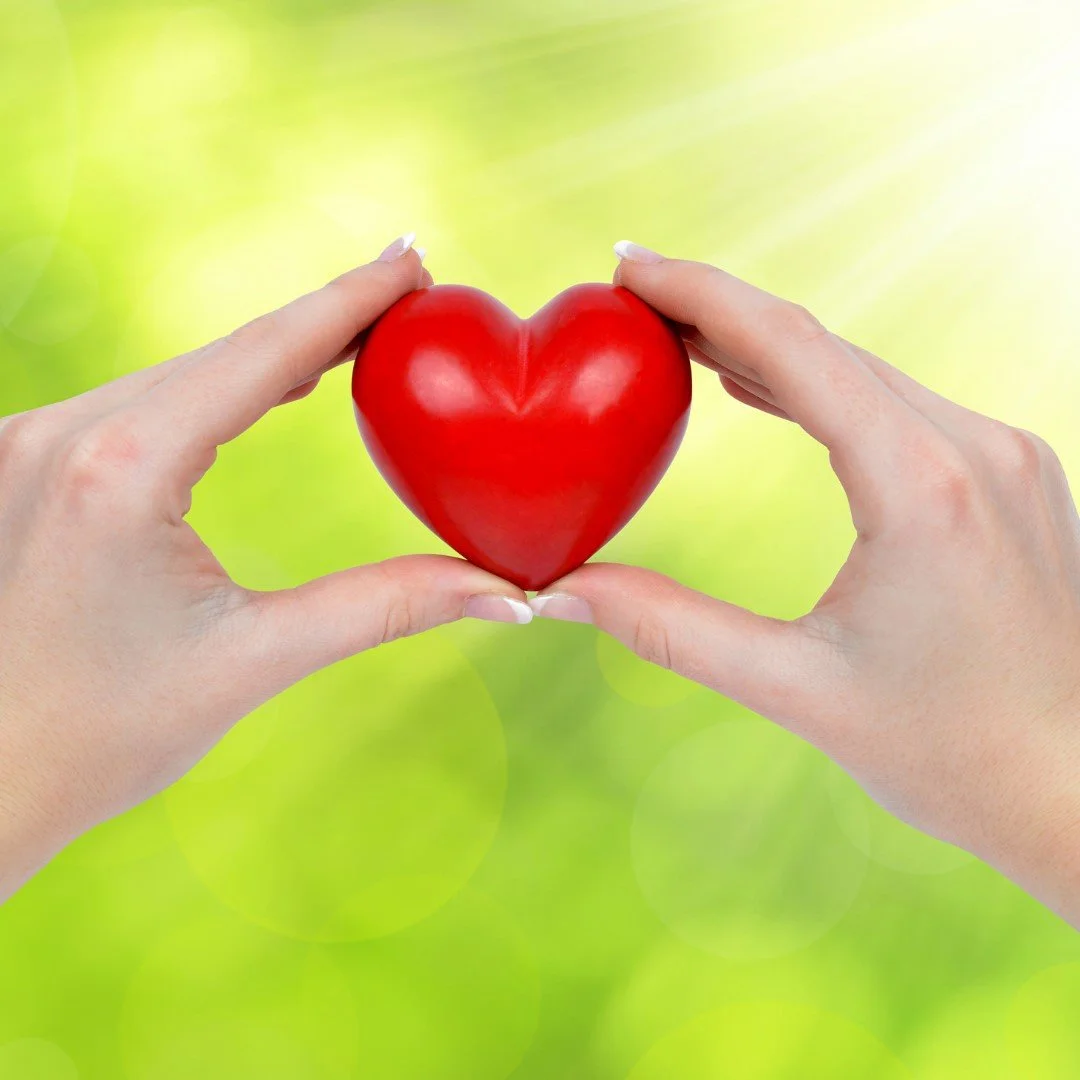 Two hands form a heart shape around a red heart-shaped object against a green blurred background.