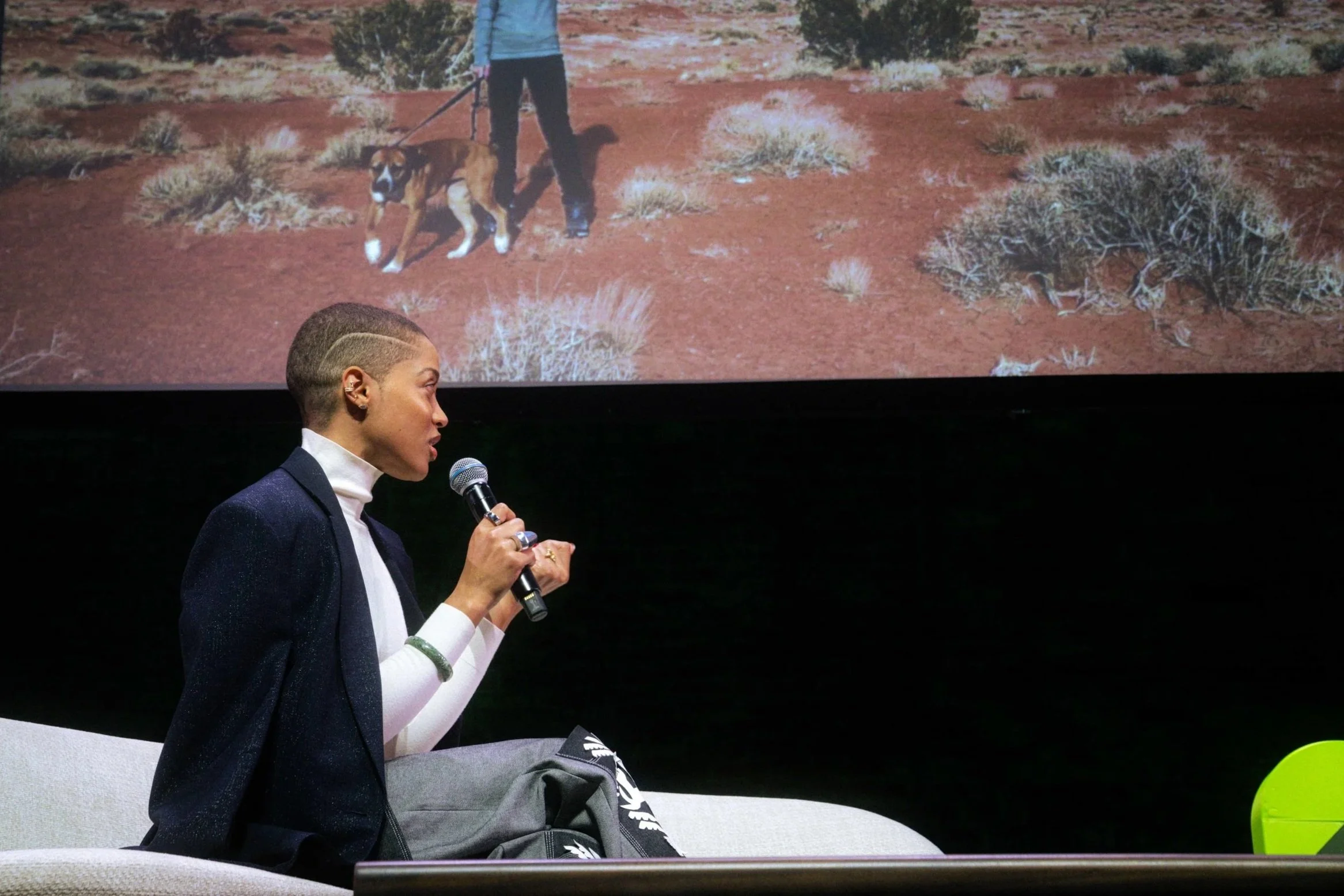 The Aspen Design Conference