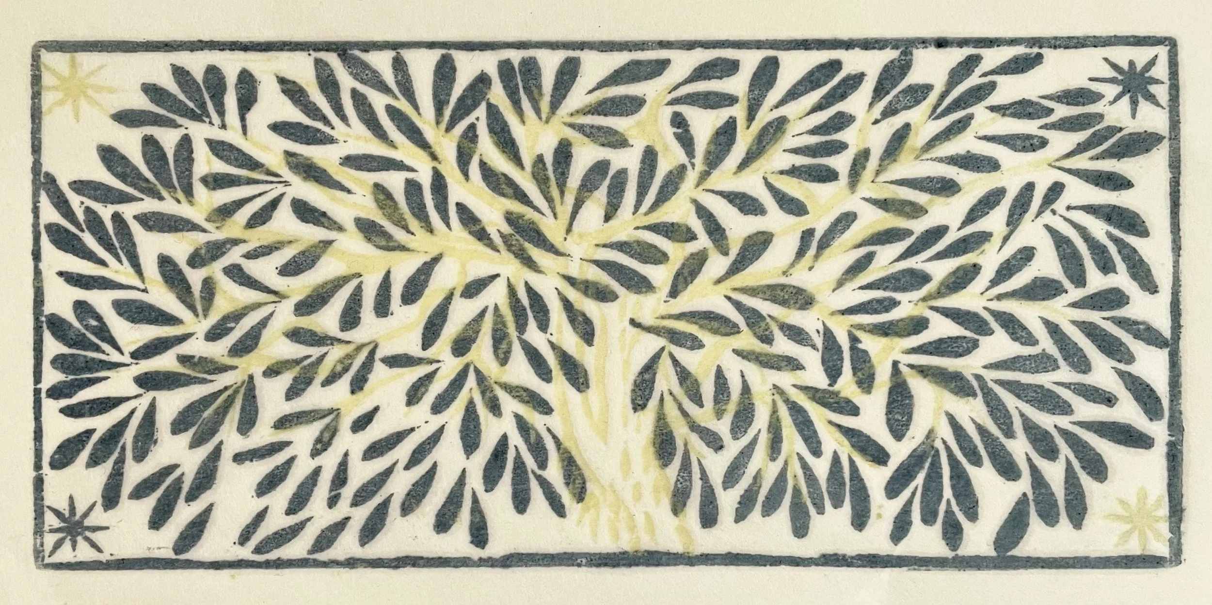 Almond tree with stars.jpg