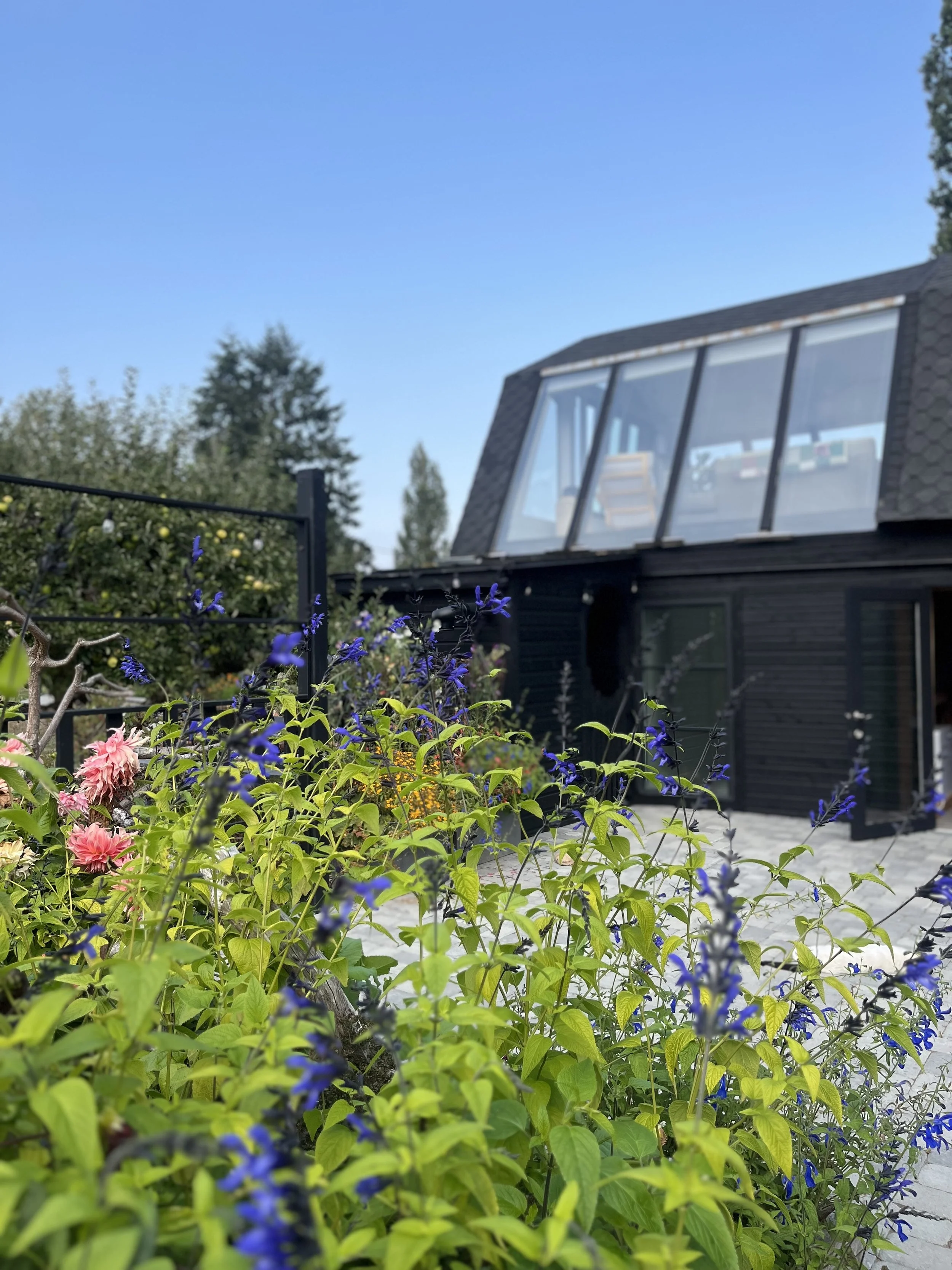 barn from garden.jpeg