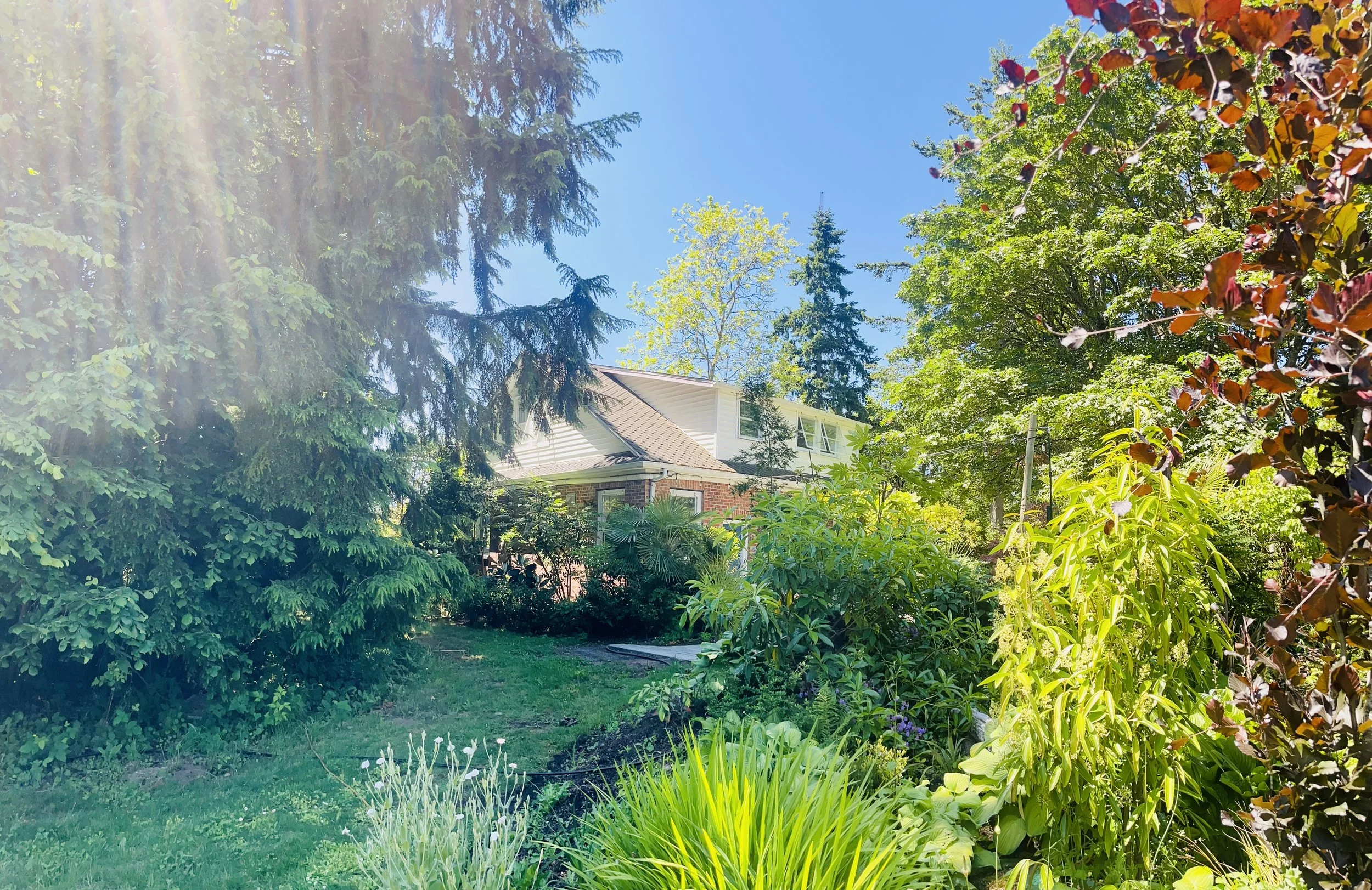 IMG_0100 (1) (1).jpg